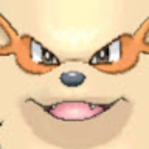 Meet your Posher, Dandycats